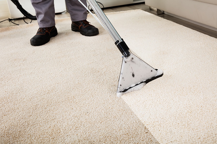Professional carpet cleaning service Auckland