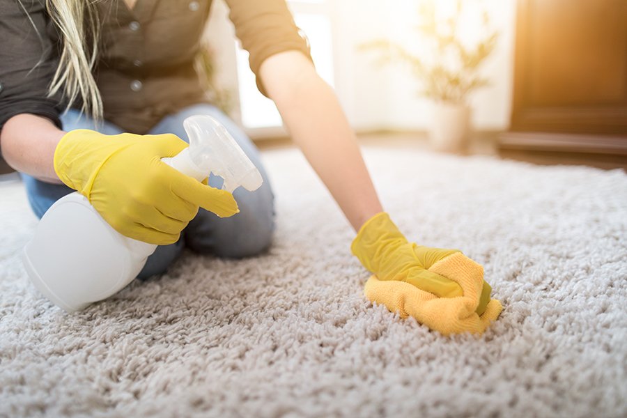 Carpet cleaning service - Clean Planet
