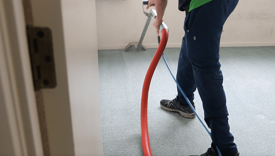 carpet cleaning service Auckland