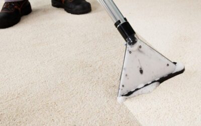 5 Benefits of Professional Carpet Cleaning