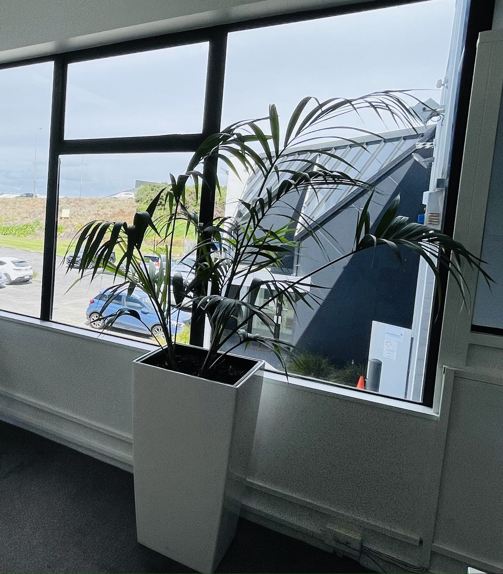 Clean Planet Office - Plant Hire