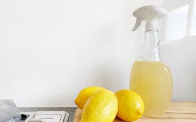 The 10 Best Cleaning Products for Your Home in 2023 With Clean Planet