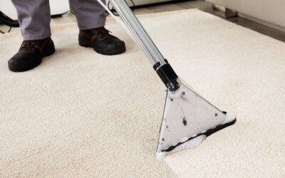Should you replace the carpet or clean it?