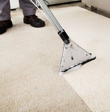 carpet-care-s