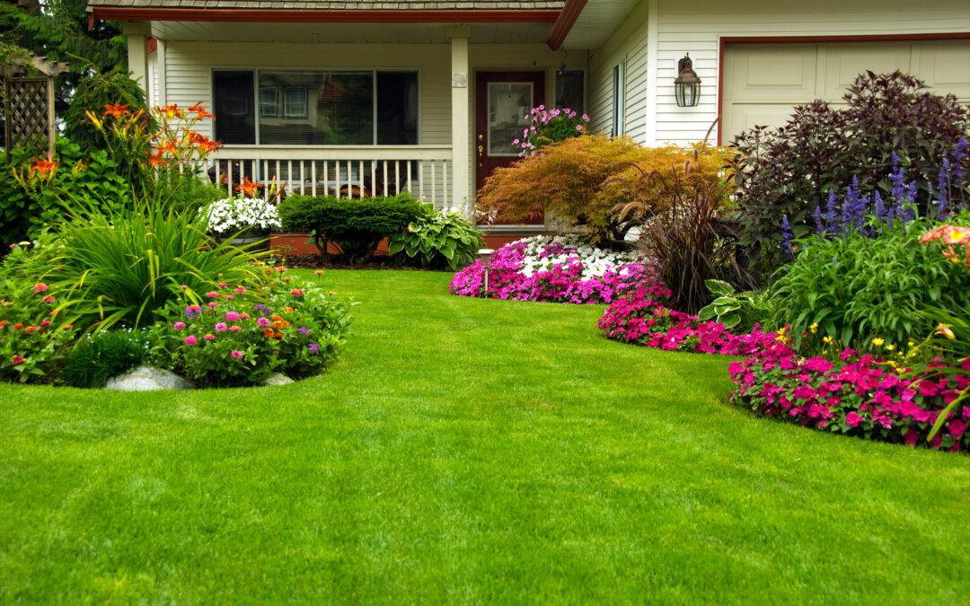 The Ultimate Guide to Spring Lawn Care: Conquer Weeds and Pests!