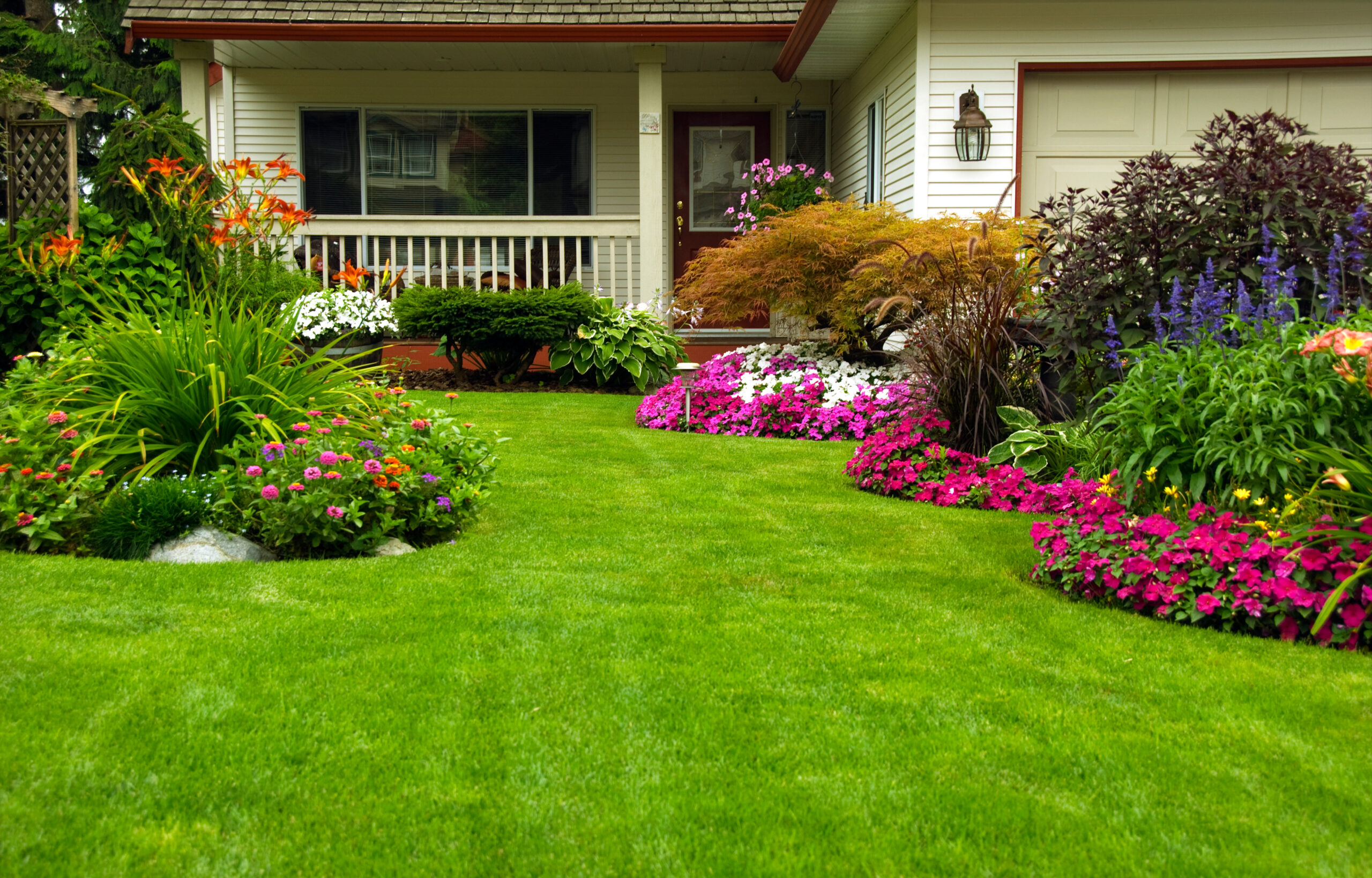 Clean Planet Spring Lawn Care: Conquer Weeds and Pests
