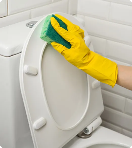 Bathroom Cleaning