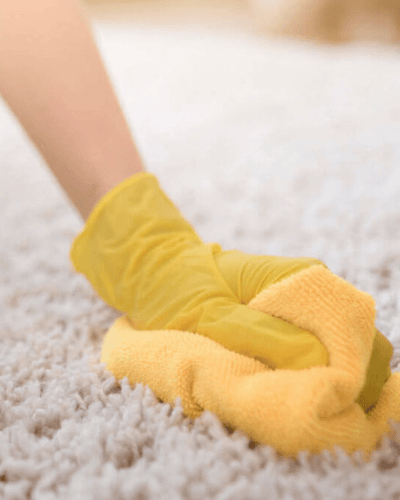 Carpet Cleaning