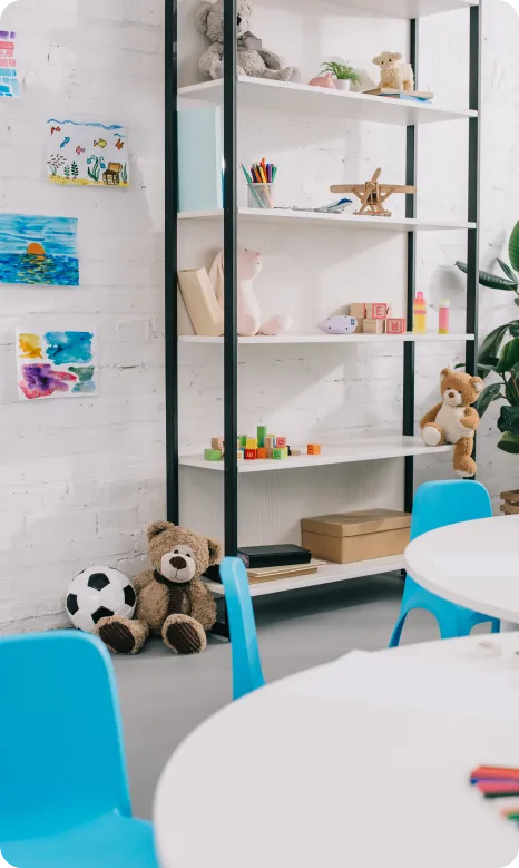 Play Area and Toy Sanitisation