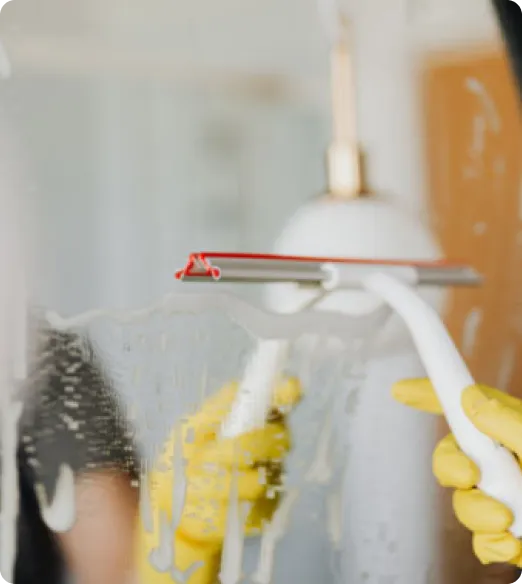 Windows Cleaning