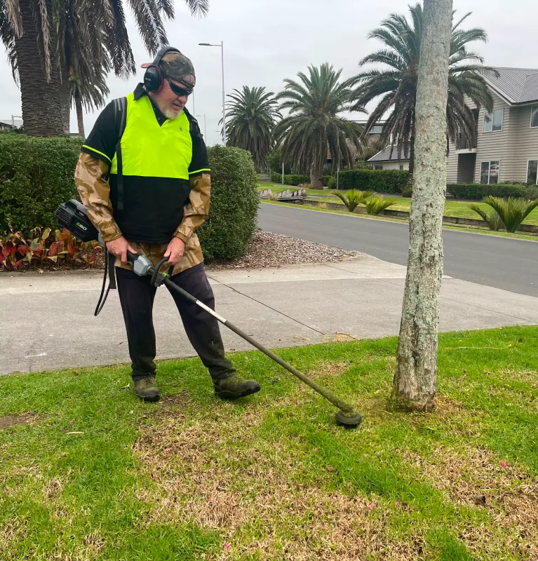 Mowing and Weed Whacking